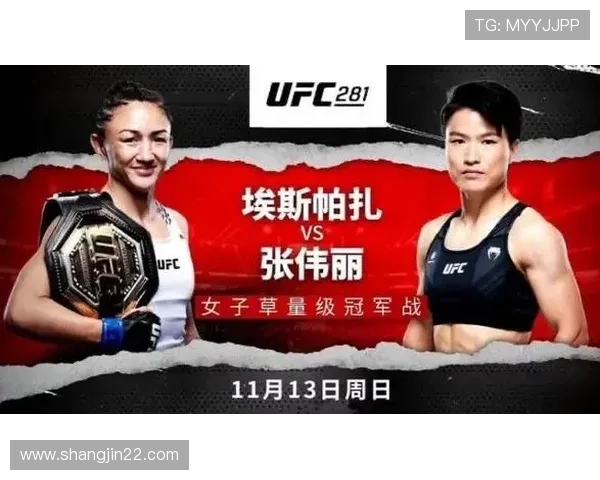 UFC终极格斗冠军赛免费直播观看渠道完整指南